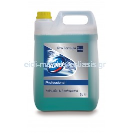 Klinex Professional Active καθαριστικό απολυμαντικό γενικής χρήσης 5L